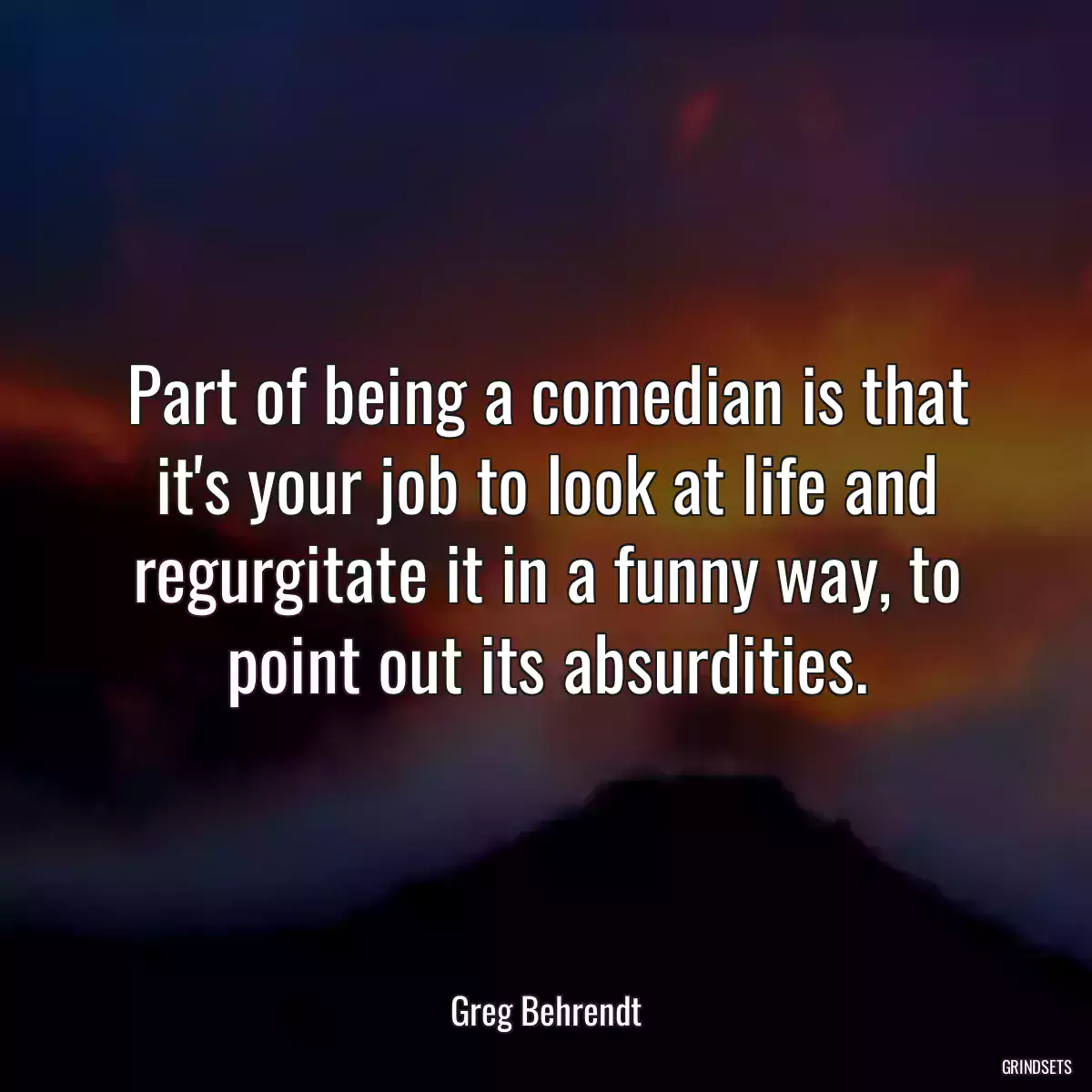 Part of being a comedian is that it\'s your job to look at life and regurgitate it in a funny way, to point out its absurdities.