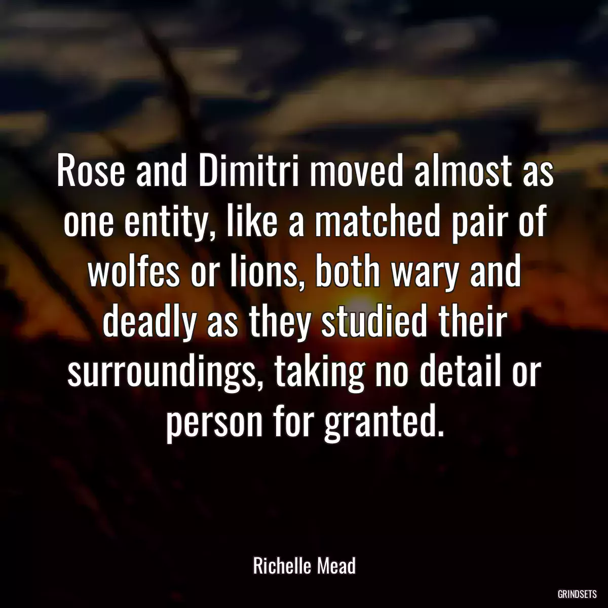 Rose and Dimitri moved almost as one entity, like a matched pair of wolfes or lions, both wary and deadly as they studied their surroundings, taking no detail or person for granted.