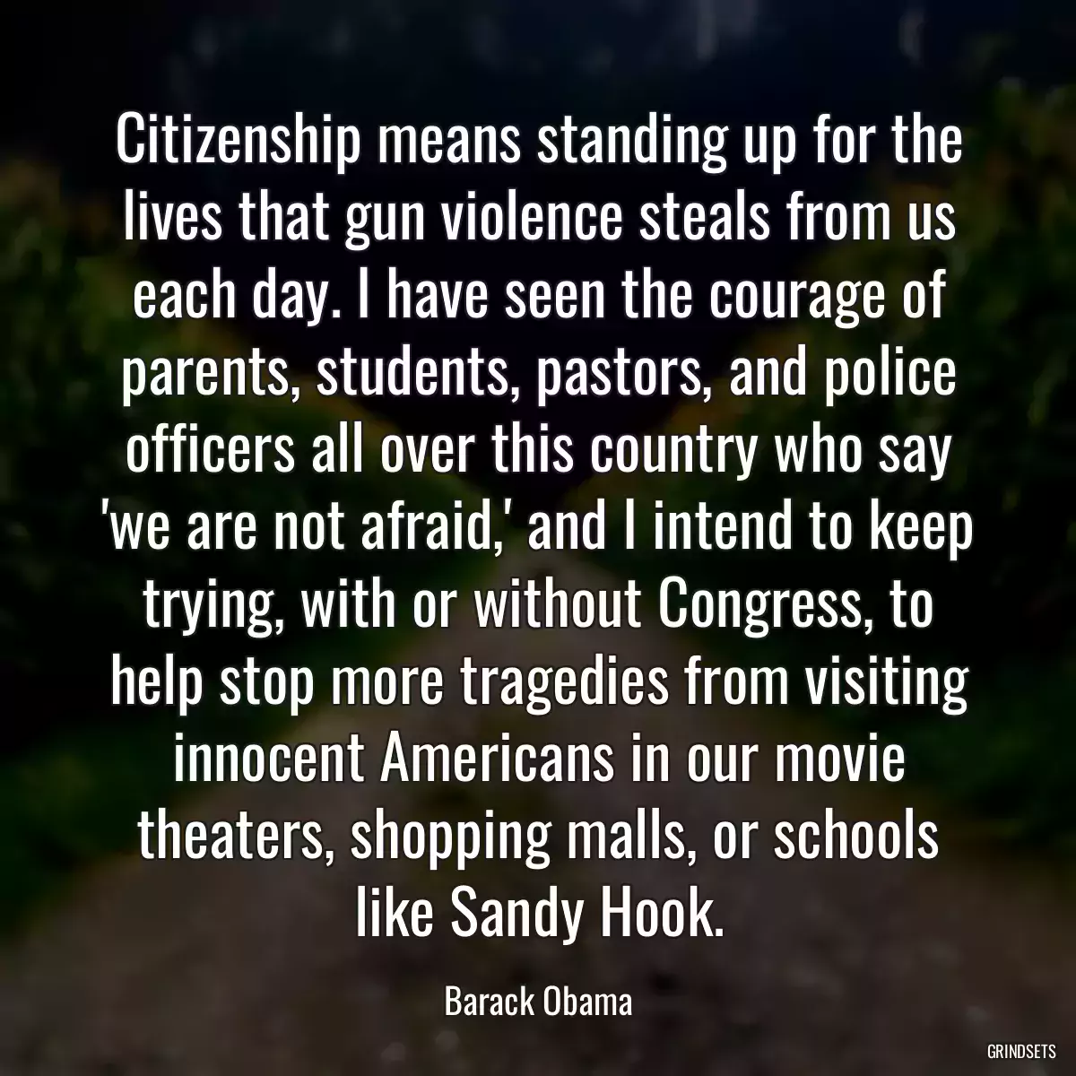 Citizenship means standing up for the lives that gun violence steals from us each day. I have seen the courage of parents, students, pastors, and police officers all over this country who say \'we are not afraid,\' and I intend to keep trying, with or without Congress, to help stop more tragedies from visiting innocent Americans in our movie theaters, shopping malls, or schools like Sandy Hook.