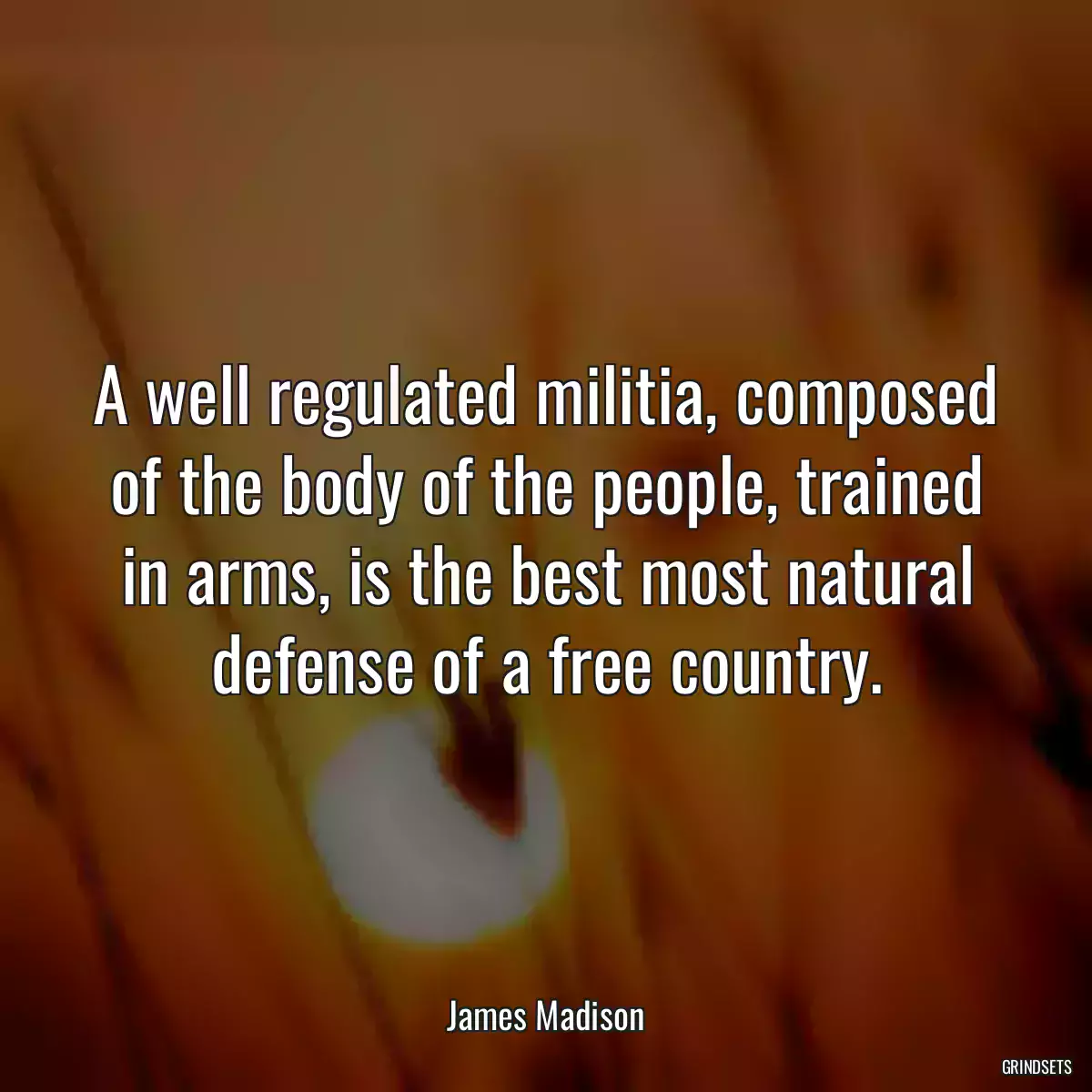 A well regulated militia, composed of the body of the people, trained in arms, is the best most natural defense of a free country.