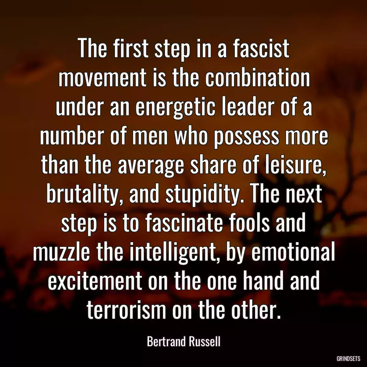 The first step in a fascist movement is the combination under an energetic leader of a number of men who possess more than the average share of leisure, brutality, and stupidity. The next step is to fascinate fools and muzzle the intelligent, by emotional excitement on the one hand and terrorism on the other.