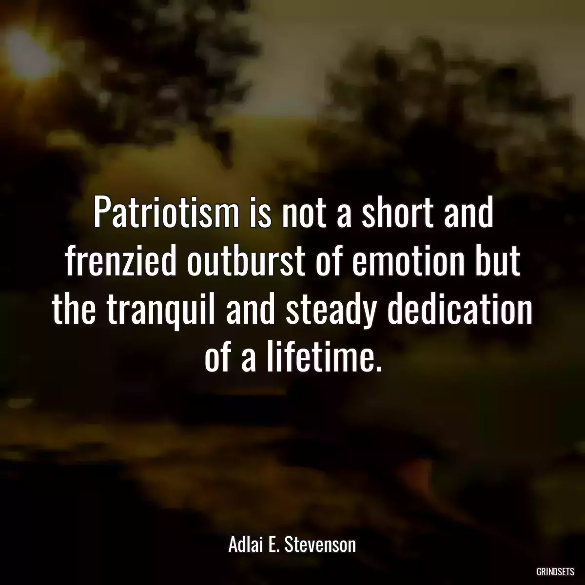 Patriotism is not a short and frenzied outburst of emotion but the tranquil and steady dedication of a lifetime.