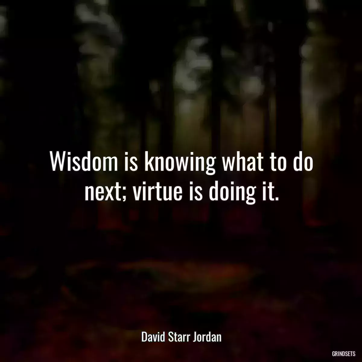 Wisdom is knowing what to do next; virtue is doing it.