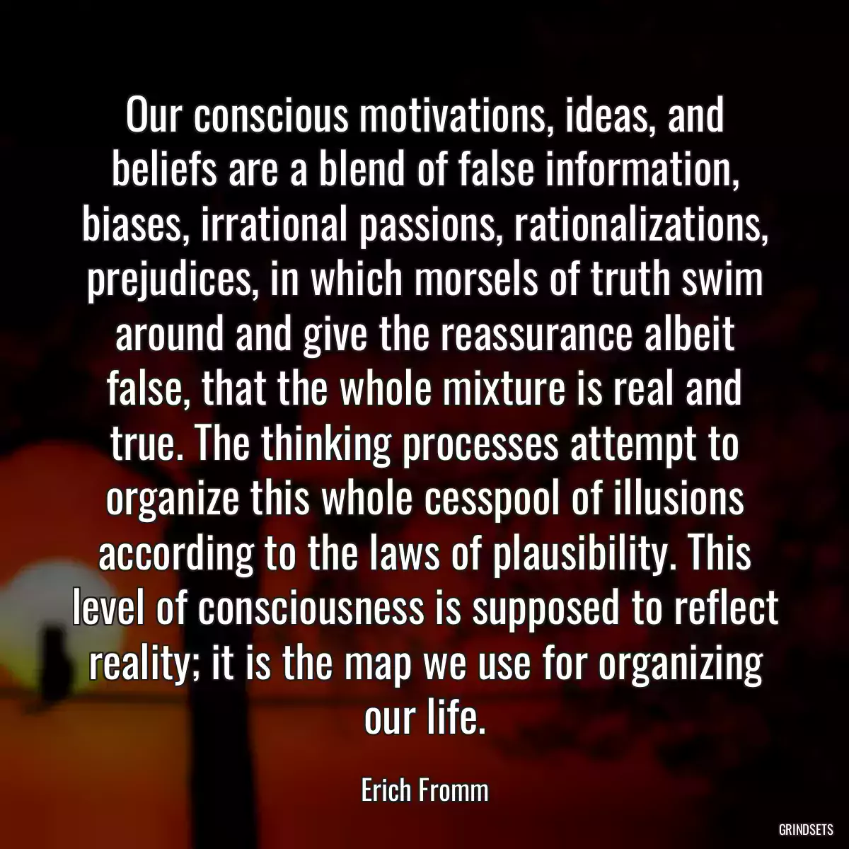 Our conscious motivations, ideas, and beliefs are a blend of false information, biases, irrational passions, rationalizations, prejudices, in which morsels of truth swim around and give the reassurance albeit false, that the whole mixture is real and true. The thinking processes attempt to organize this whole cesspool of illusions according to the laws of plausibility. This level of consciousness is supposed to reflect reality; it is the map we use for organizing our life.