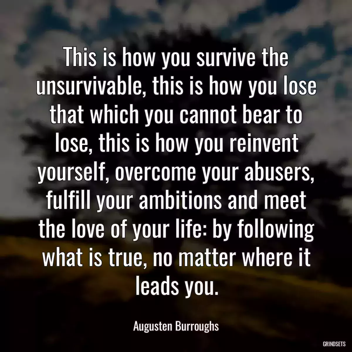 This is how you survive the unsurvivable, this is how you lose that which you cannot bear to lose, this is how you reinvent yourself, overcome your abusers, fulfill your ambitions and meet the love of your life: by following what is true, no matter where it leads you.