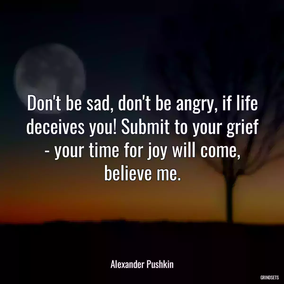 Don\'t be sad, don\'t be angry, if life deceives you! Submit to your grief - your time for joy will come, believe me.