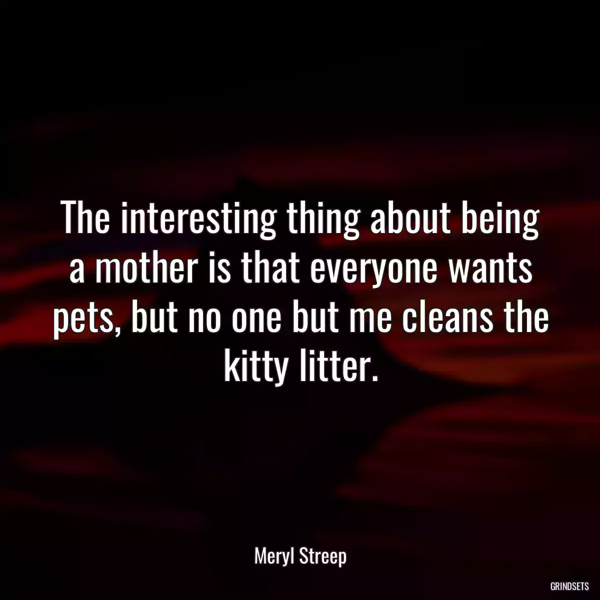 The interesting thing about being a mother is that everyone wants pets, but no one but me cleans the kitty litter.