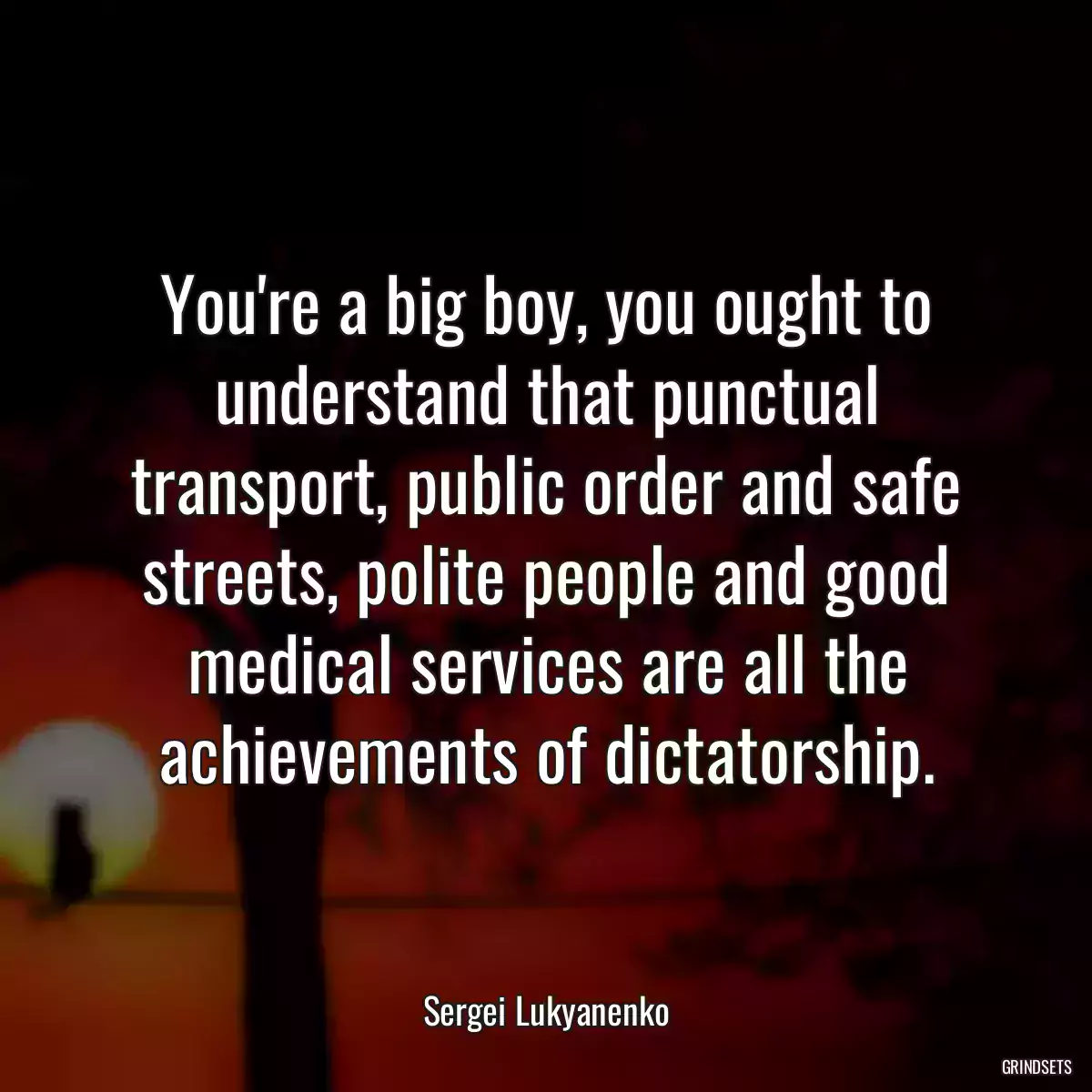 You\'re a big boy, you ought to understand that punctual transport, public order and safe streets, polite people and good medical services are all the achievements of dictatorship.