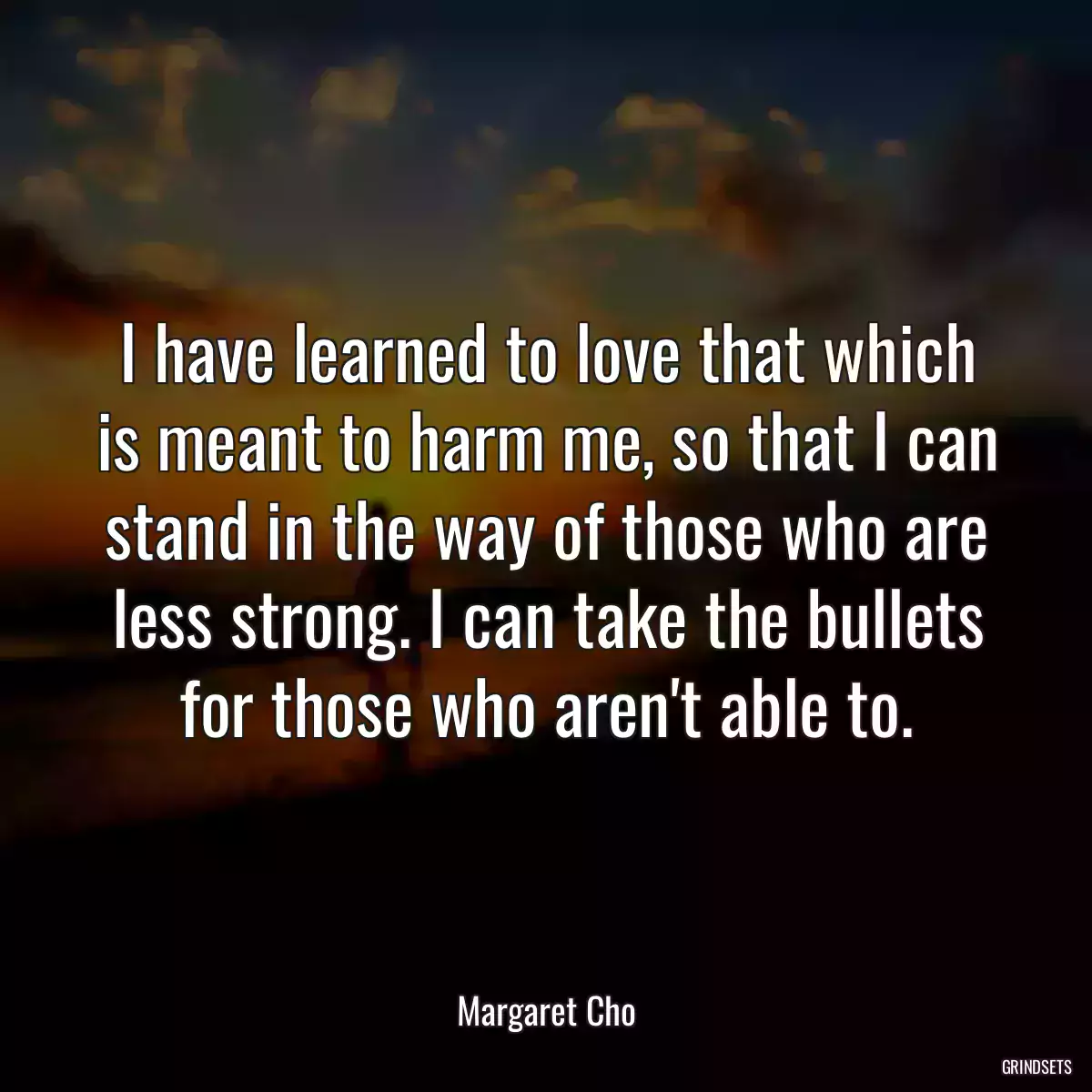 I have learned to love that which is meant to harm me, so that I can stand in the way of those who are less strong. I can take the bullets for those who aren\'t able to.