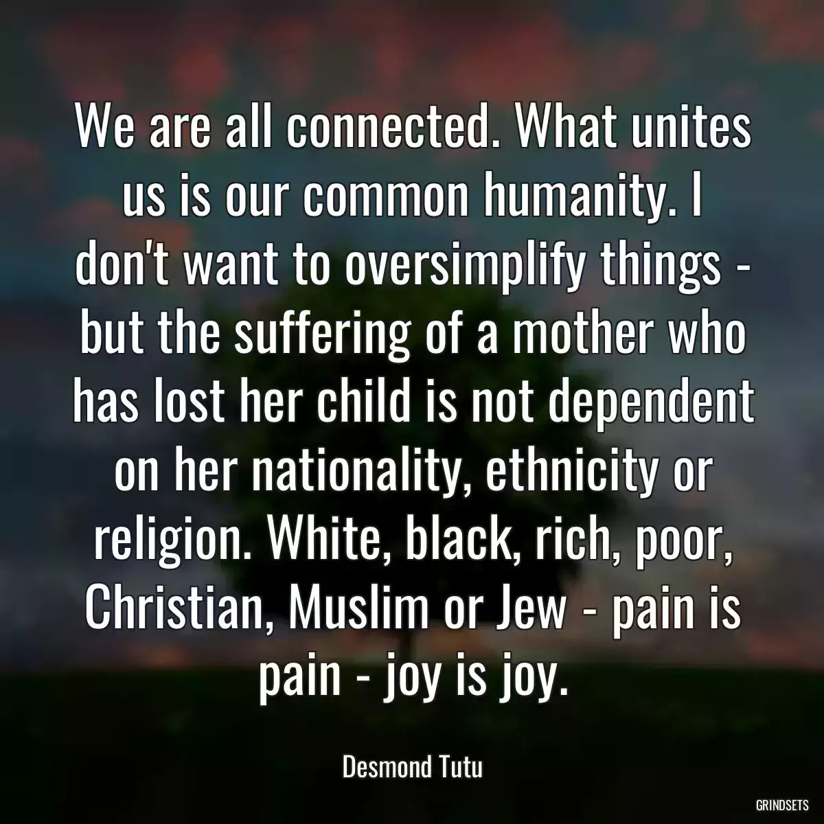 We are all connected. What unites us is our common humanity. I don\'t want to oversimplify things - but the suffering of a mother who has lost her child is not dependent on her nationality, ethnicity or religion. White, black, rich, poor, Christian, Muslim or Jew - pain is pain - joy is joy.