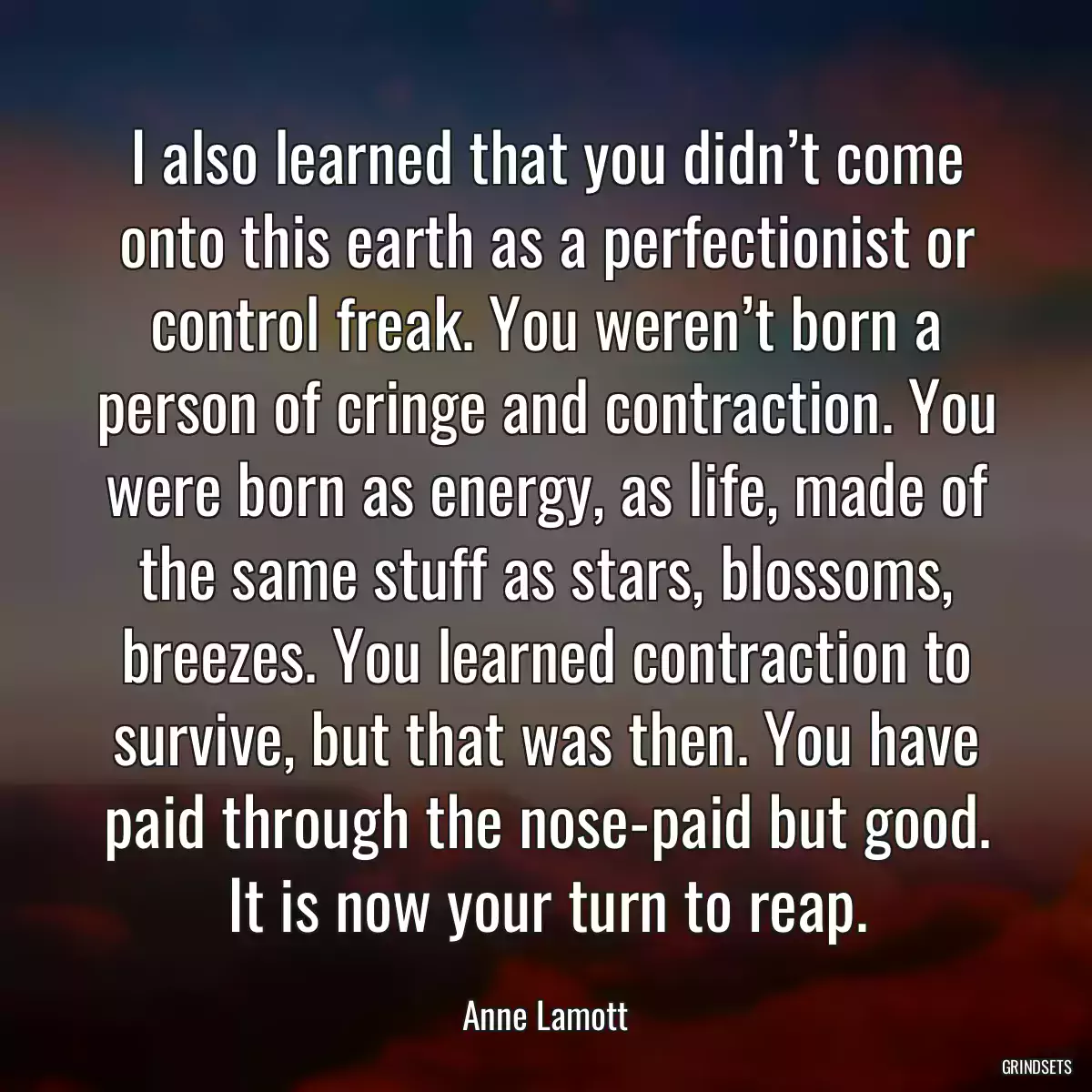 I also learned that you didn’t come onto this earth as a perfectionist or control freak. You weren’t born a person of cringe and contraction. You were born as energy, as life, made of the same stuff as stars, blossoms, breezes. You learned contraction to survive, but that was then. You have paid through the nose-paid but good. It is now your turn to reap.