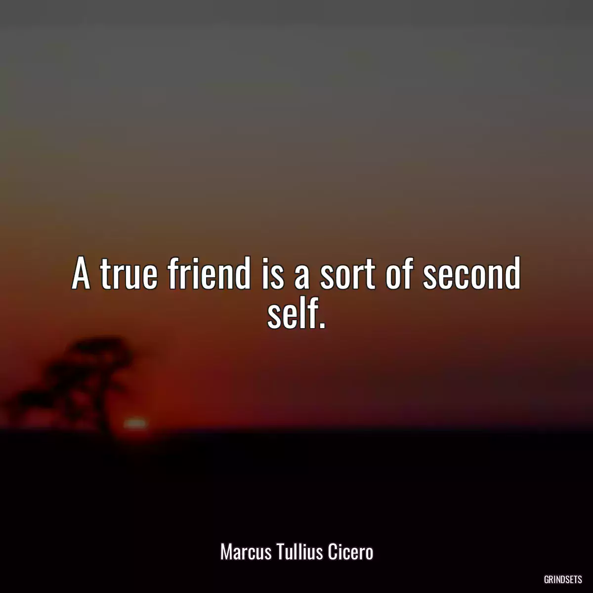 A true friend is a sort of second self.