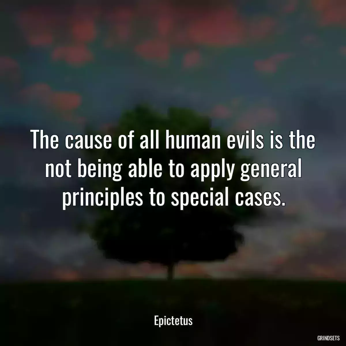 The cause of all human evils is the not being able to apply general principles to special cases.