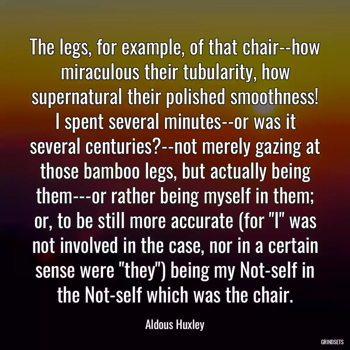 The legs, for example, of that chair--how miraculous their tubularity, how supernatural their polished smoothness! I spent several minutes--or was it several centuries?--not merely gazing at those bamboo legs, but actually being them---or rather being myself in them; or, to be still more accurate (for \