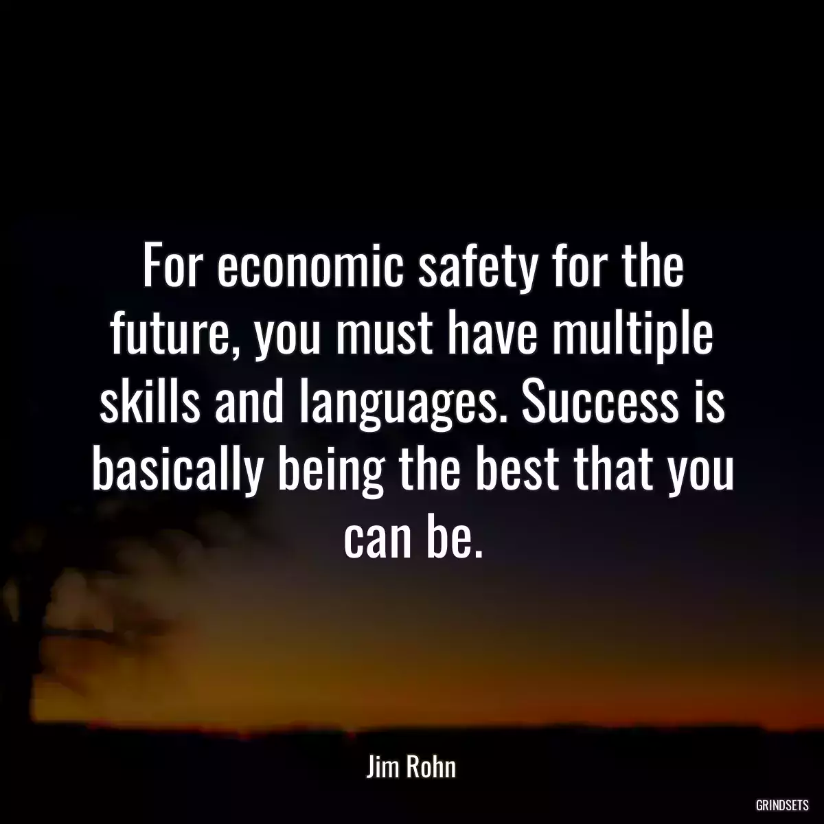 For economic safety for the future, you must have multiple skills and languages. Success is basically being the best that you can be.