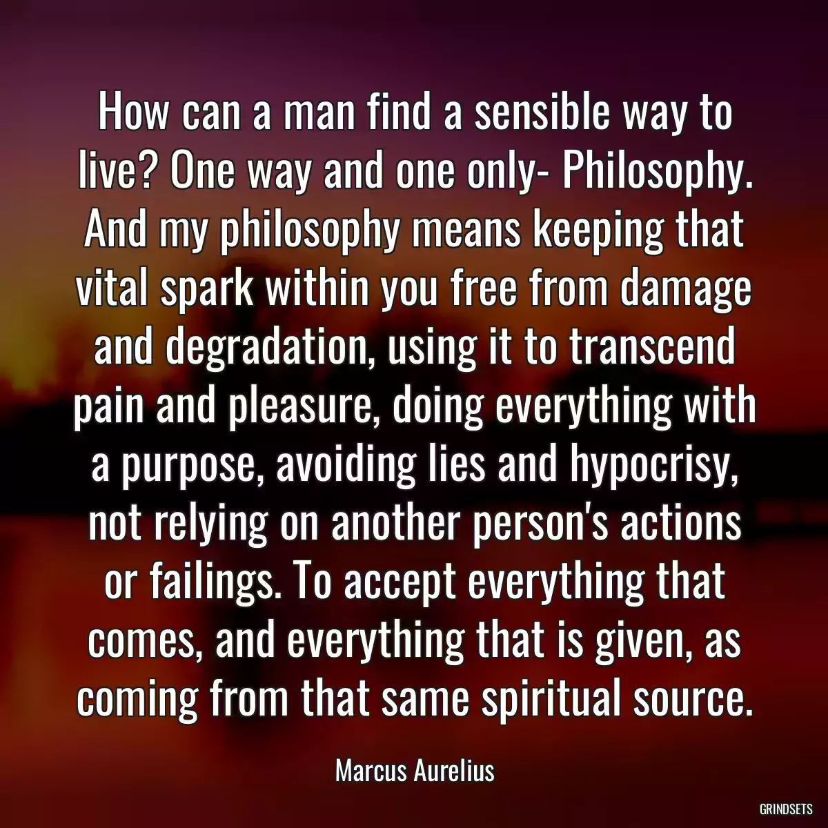 How can a man find a sensible way to live? One way and one only- Philosophy. And my philosophy means keeping that vital spark within you free from damage and degradation, using it to transcend pain and pleasure, doing everything with a purpose, avoiding lies and hypocrisy, not relying on another person\'s actions or failings. To accept everything that comes, and everything that is given, as coming from that same spiritual source.