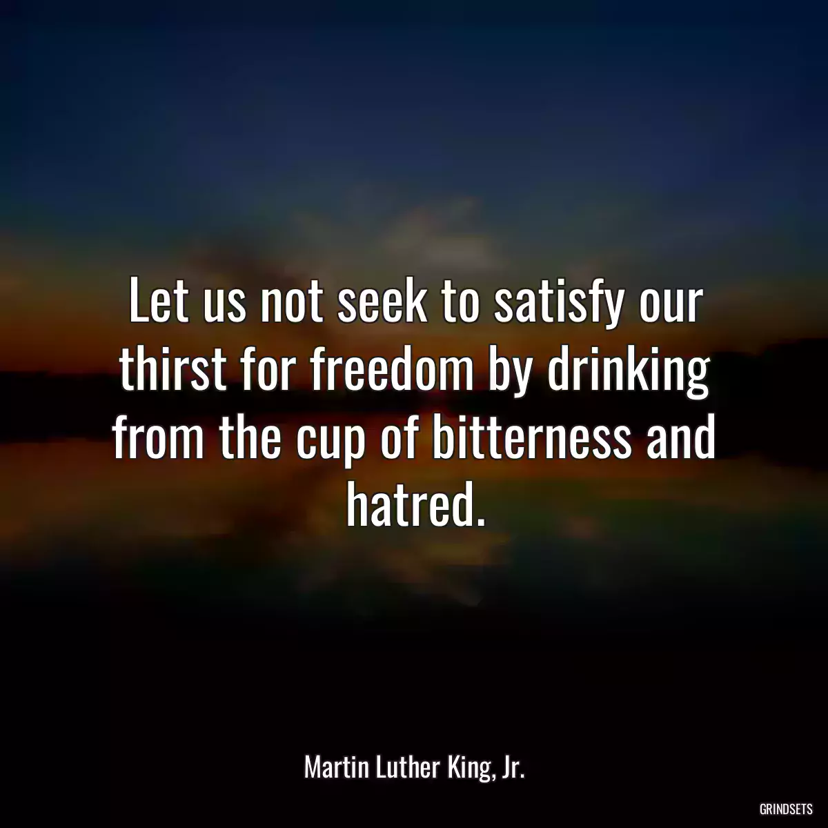 Let us not seek to satisfy our thirst for freedom by drinking from the cup of bitterness and hatred.