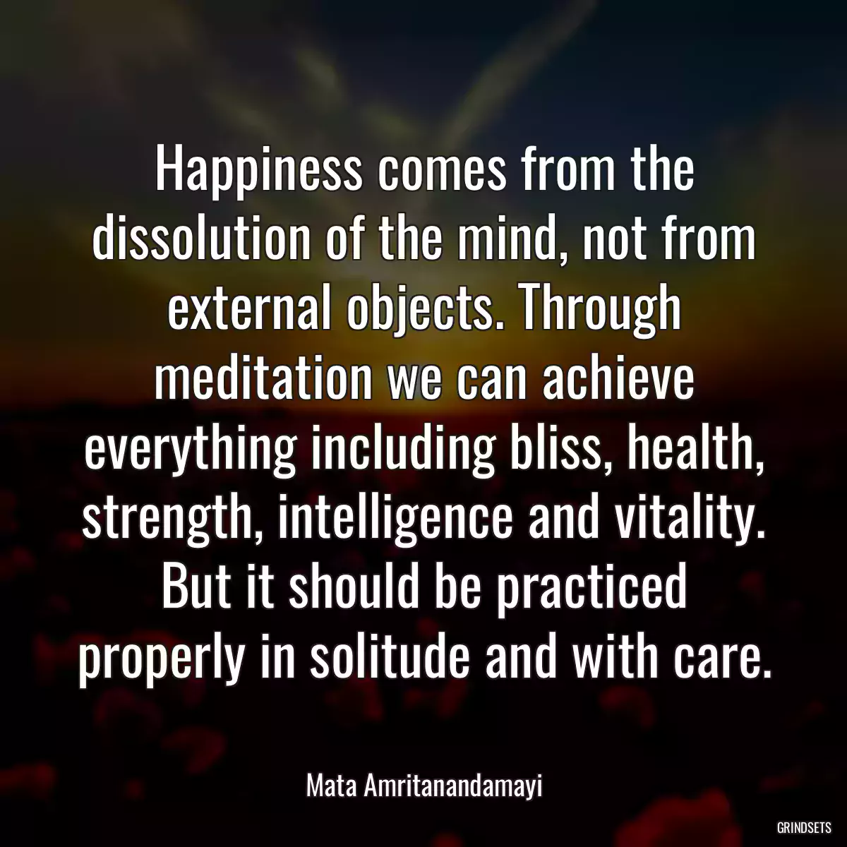 Happiness comes from the dissolution of the mind, not from external objects. Through meditation we can achieve everything including bliss, health, strength, intelligence and vitality. But it should be practiced properly in solitude and with care.