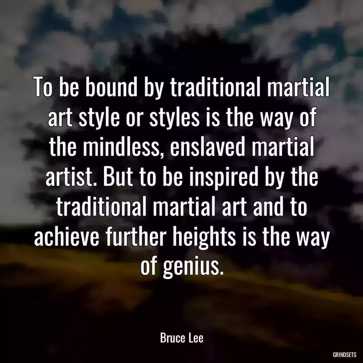 To be bound by traditional martial art style or styles is the way of the mindless, enslaved martial artist. But to be inspired by the traditional martial art and to achieve further heights is the way of genius.