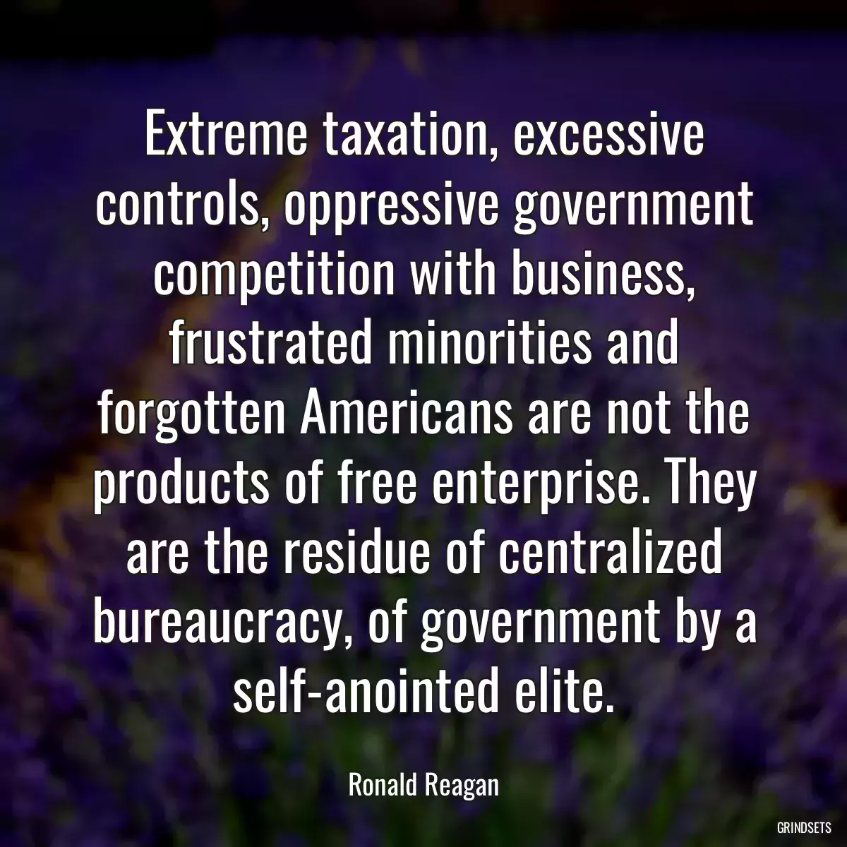 Extreme taxation, excessive controls, oppressive government competition with business, frustrated minorities and forgotten Americans are not the products of free enterprise. They are the residue of centralized bureaucracy, of government by a self-anointed elite.