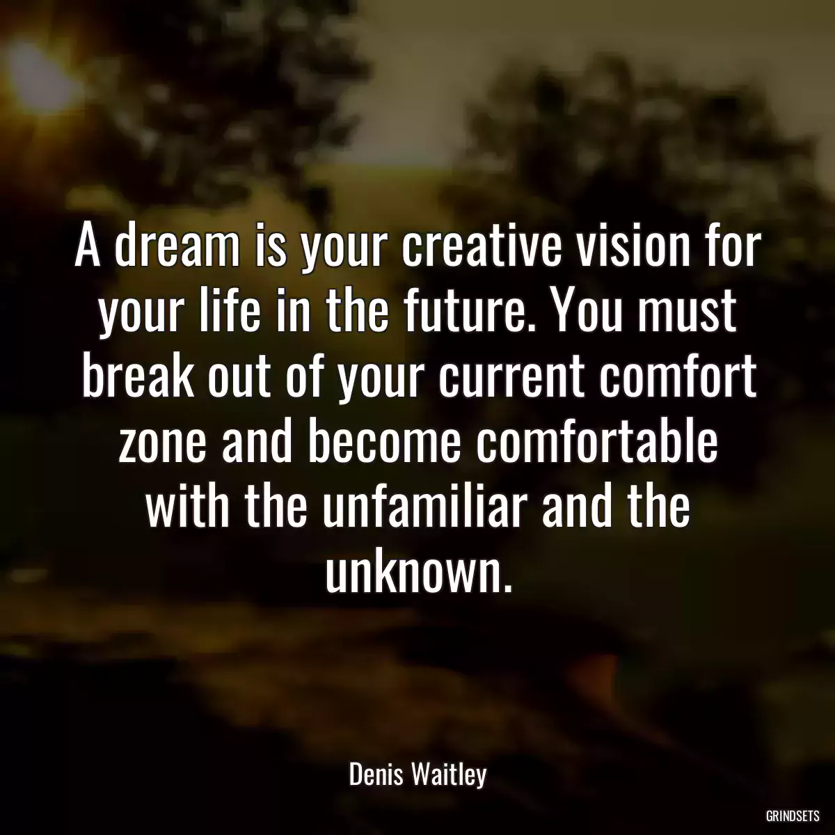 A dream is your creative vision for your life in the future. You must break out of your current comfort zone and become comfortable with the unfamiliar and the unknown.