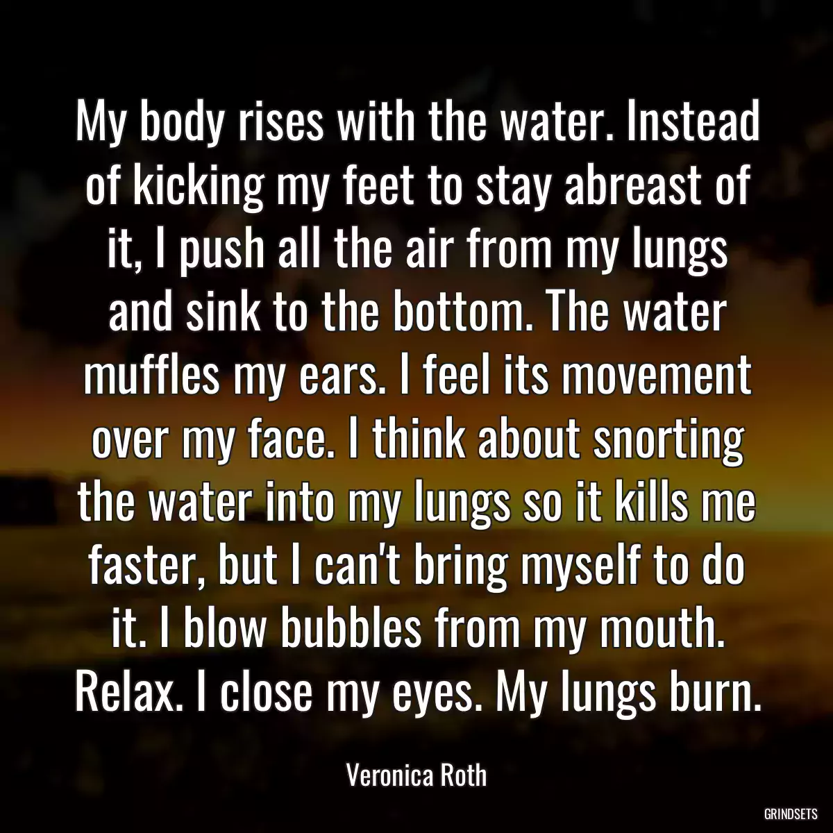 My body rises with the water. Instead of kicking my feet to stay abreast of it, I push all the air from my lungs and sink to the bottom. The water muffles my ears. I feel its movement over my face. I think about snorting the water into my lungs so it kills me faster, but I can\'t bring myself to do it. I blow bubbles from my mouth. Relax. I close my eyes. My lungs burn.