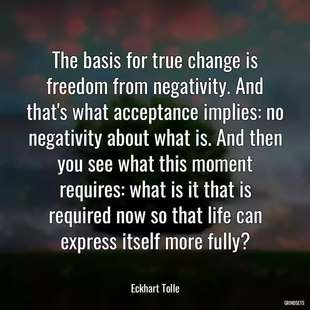 The basis for true change is freedom from negativity. And that\'s what acceptance implies: no negativity about what is. And then you see what this moment requires: what is it that is required now so that life can express itself more fully?