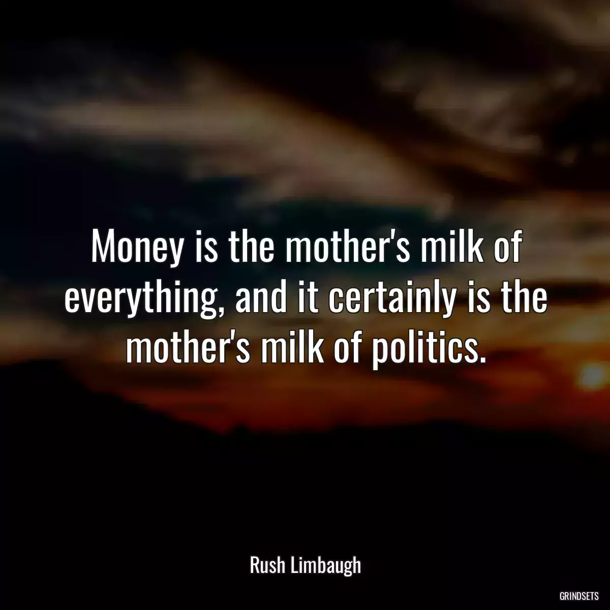 Money is the mother\'s milk of everything, and it certainly is the mother\'s milk of politics.