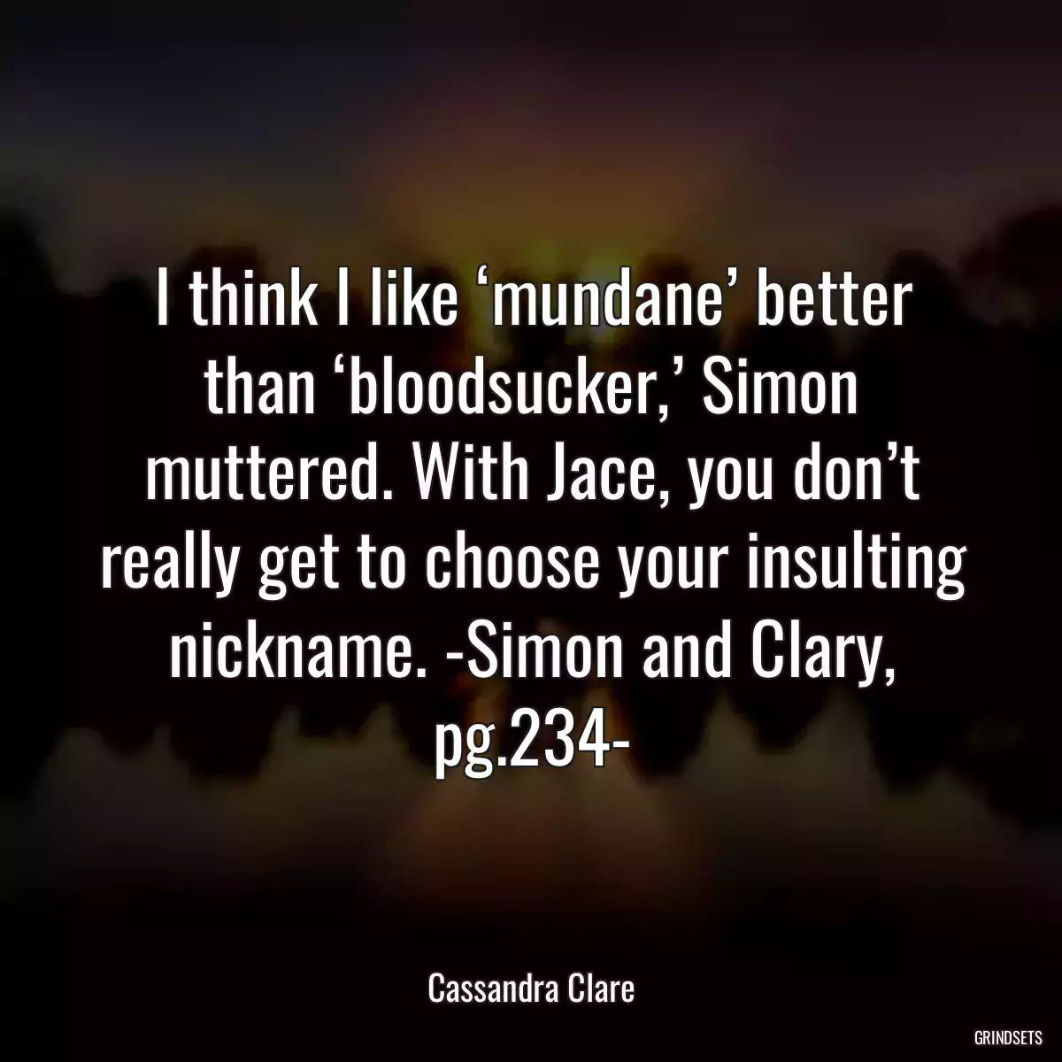 I think I like ‘mundane’ better than ‘bloodsucker,’ Simon muttered. With Jace, you don’t really get to choose your insulting nickname. -Simon and Clary, pg.234-