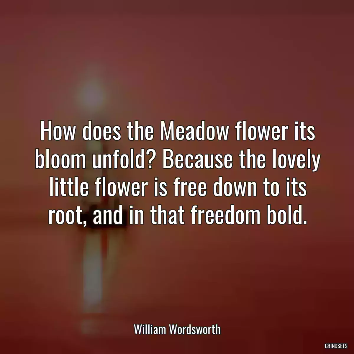 How does the Meadow flower its bloom unfold? Because the lovely little flower is free down to its root, and in that freedom bold.