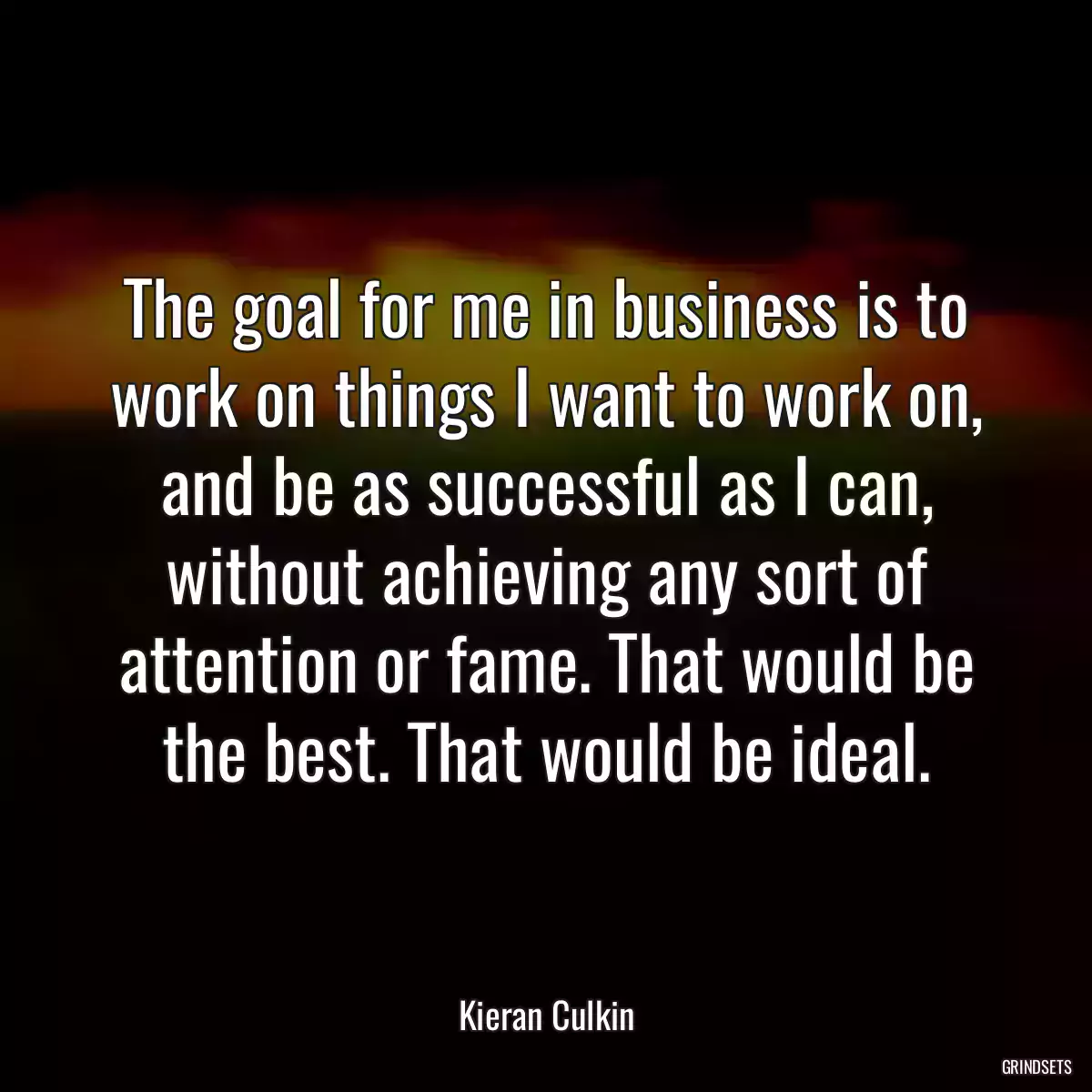 The goal for me in business is to work on things I want to work on, and be as successful as I can, without achieving any sort of attention or fame. That would be the best. That would be ideal.