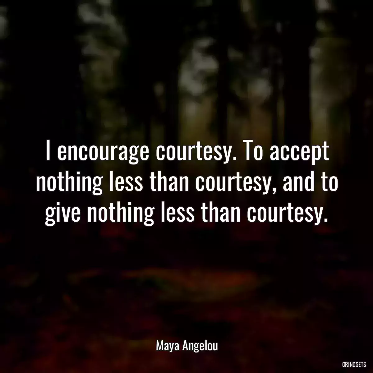 I encourage courtesy. To accept nothing less than courtesy, and to give nothing less than courtesy.