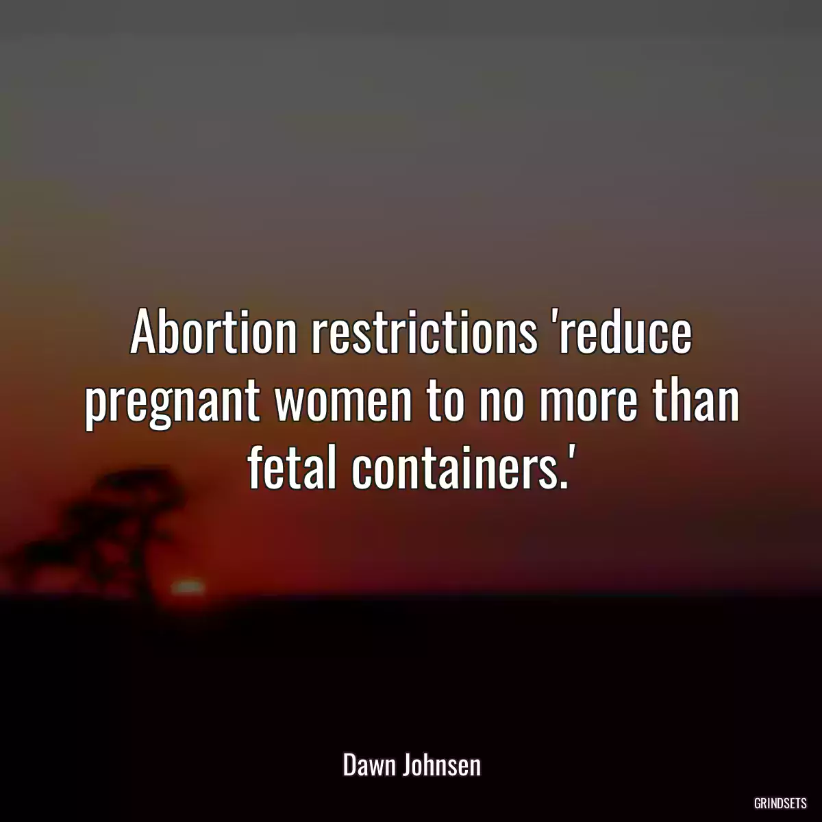 Abortion restrictions \'reduce pregnant women to no more than fetal containers.\'