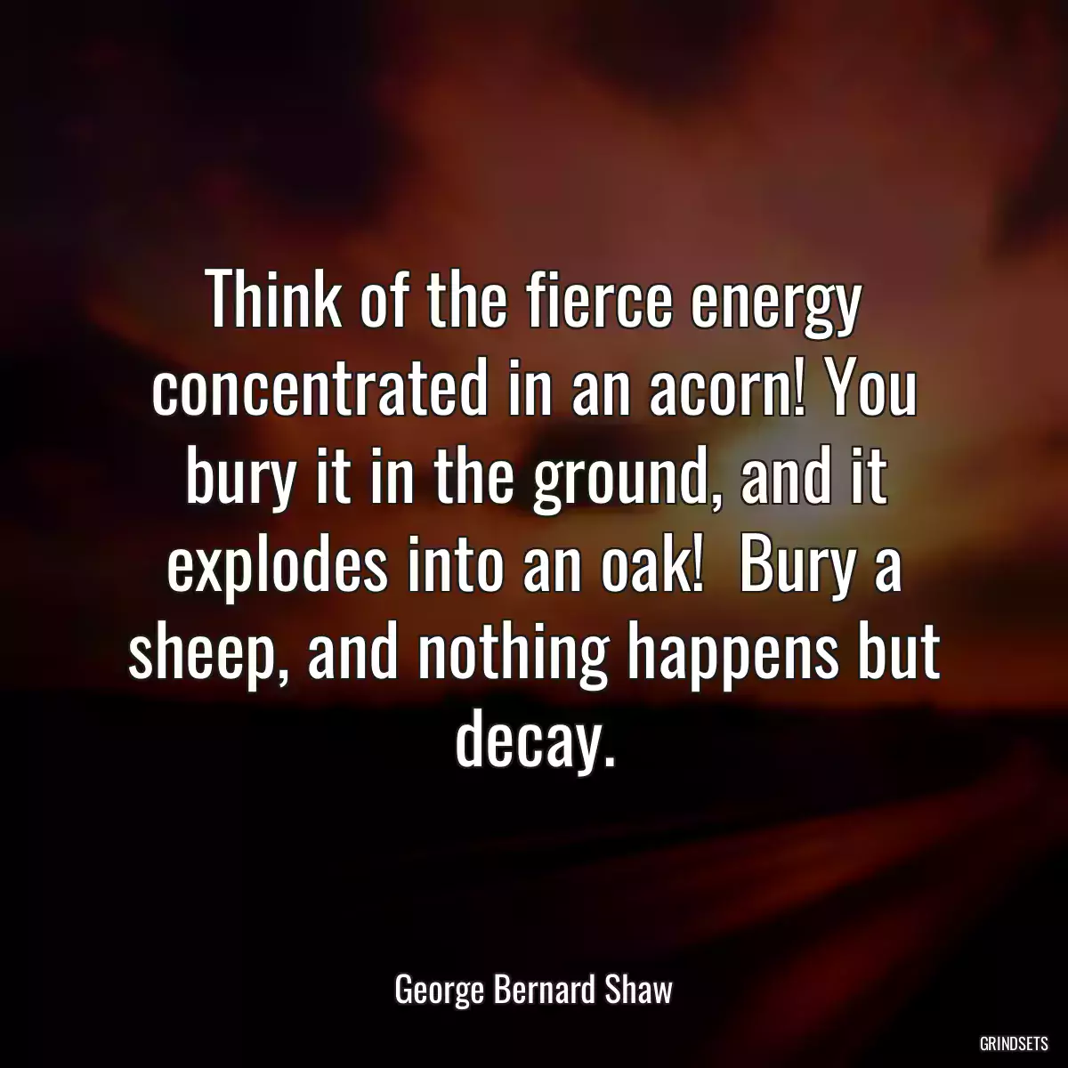 Think of the fierce energy concentrated in an acorn! You bury it in the ground, and it explodes into an oak!  Bury a sheep, and nothing happens but decay.