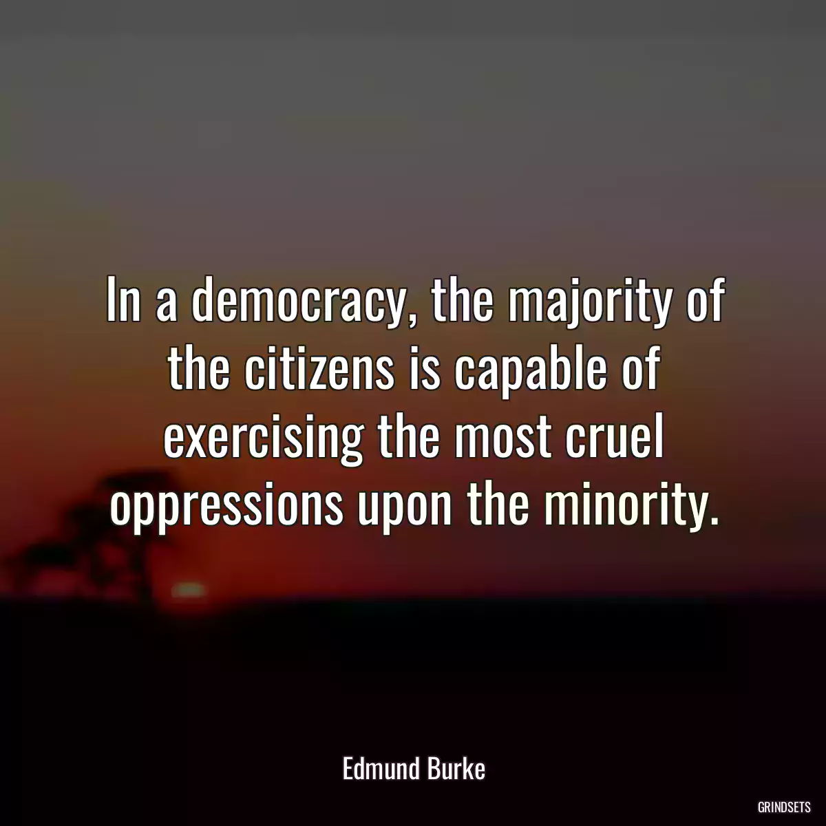 In a democracy, the majority of the citizens is capable of exercising the most cruel oppressions upon the minority.