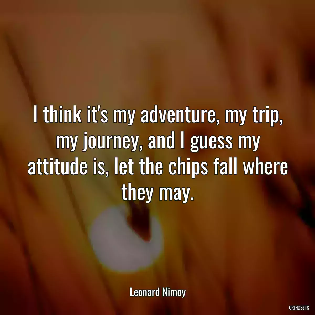 I think it\'s my adventure, my trip, my journey, and I guess my attitude is, let the chips fall where they may.