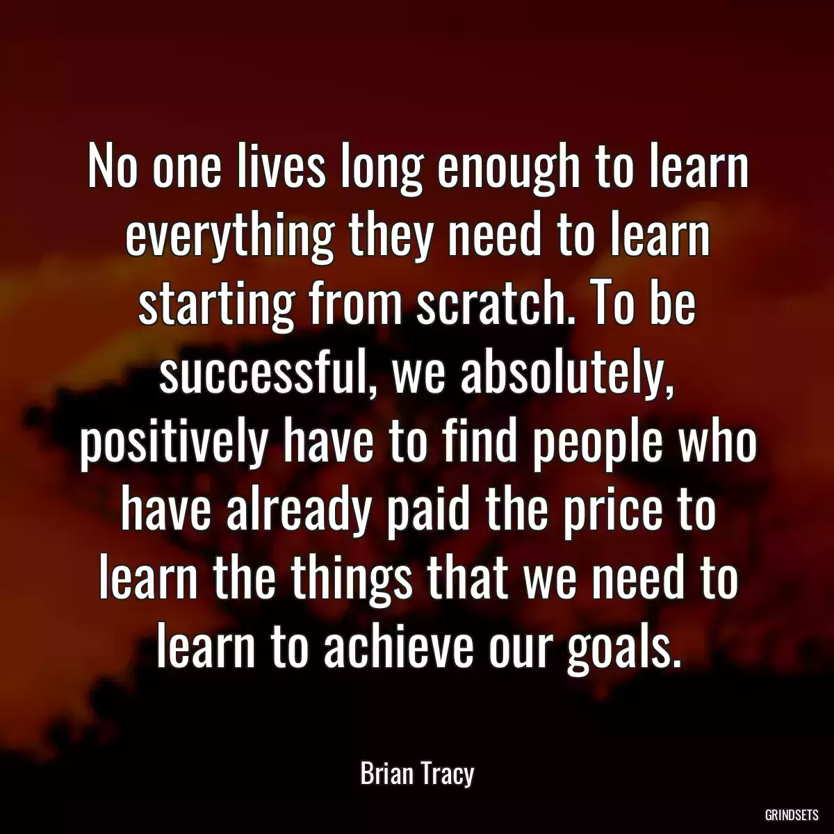 No one lives long enough to learn everything they need to learn starting from scratch. To be successful, we absolutely, positively have to find people who have already paid the price to learn the things that we need to learn to achieve our goals.