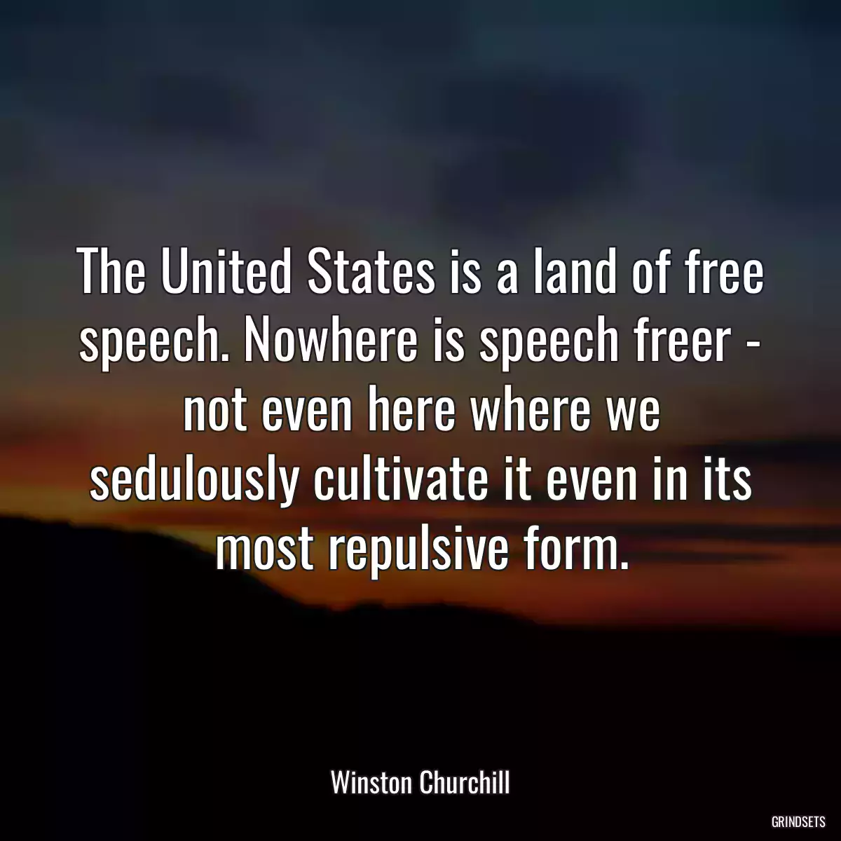 The United States is a land of free speech. Nowhere is speech freer - not even here where we sedulously cultivate it even in its most repulsive form.