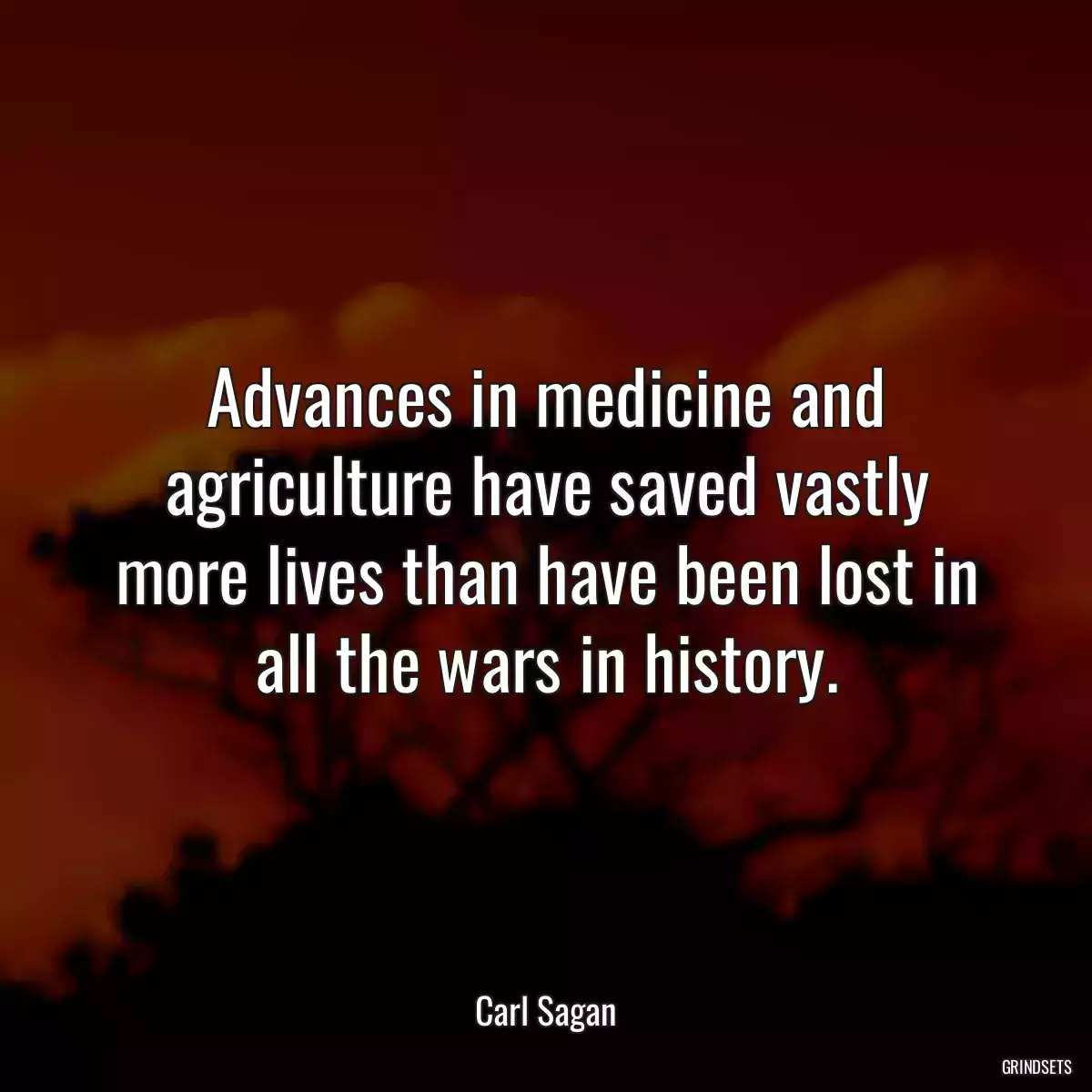 Advances in medicine and agriculture have saved vastly more lives than have been lost in all the wars in history.