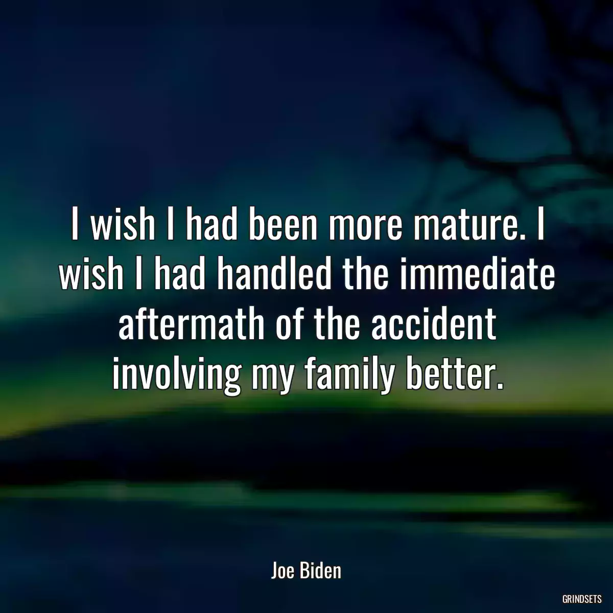 I wish I had been more mature. I wish I had handled the immediate aftermath of the accident involving my family better.