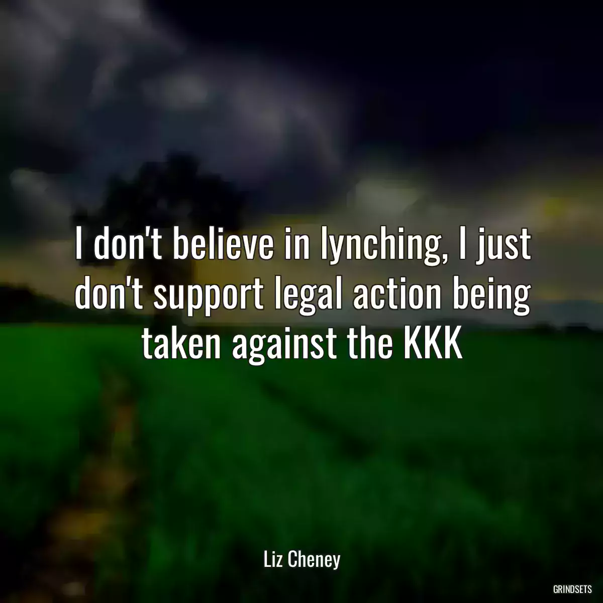 I don\'t believe in lynching, I just don\'t support legal action being taken against the KKK