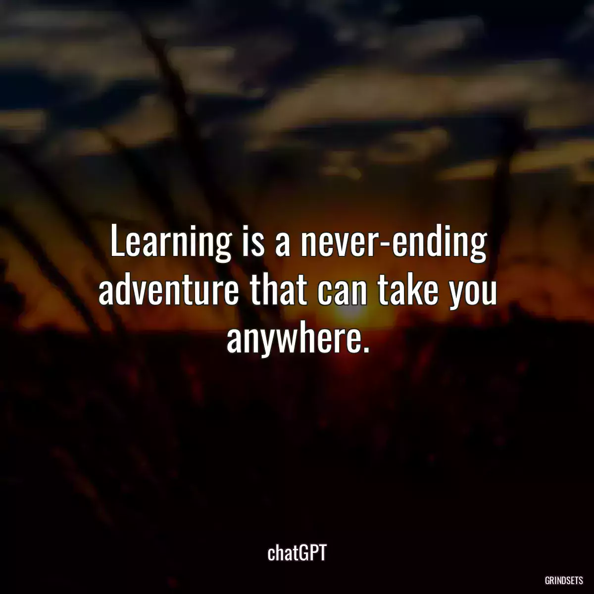 Learning is a never-ending adventure that can take you anywhere.