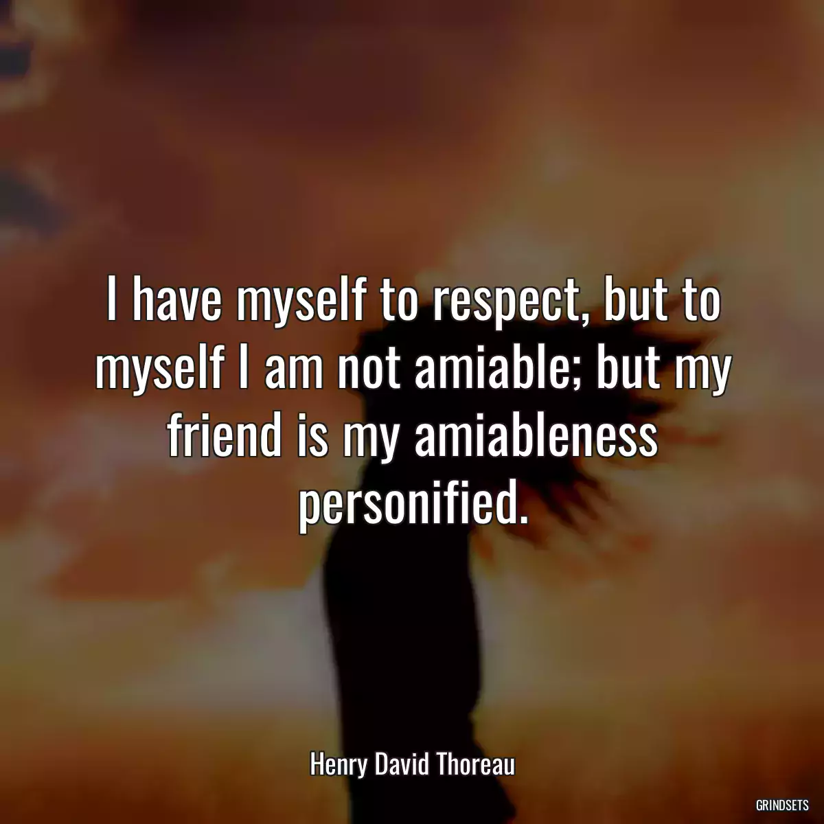 I have myself to respect, but to myself I am not amiable; but my friend is my amiableness personified.