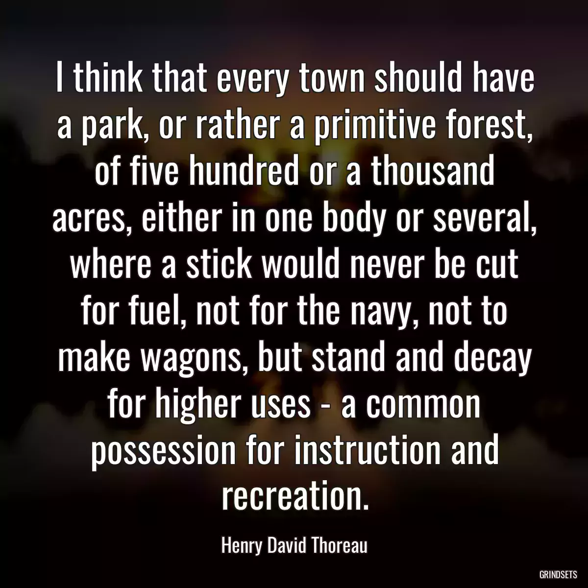 I think that every town should have a park, or rather a primitive forest, of five hundred or a thousand acres, either in one body or several, where a stick would never be cut for fuel, not for the navy, not to make wagons, but stand and decay for higher uses - a common possession for instruction and recreation.