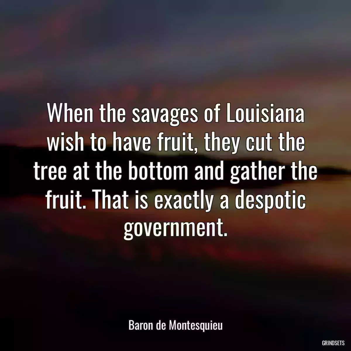 When the savages of Louisiana wish to have fruit, they cut the tree at the bottom and gather the fruit. That is exactly a despotic government.