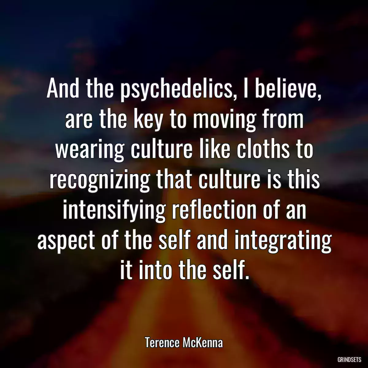 And the psychedelics, I believe, are the key to moving from wearing culture like cloths to recognizing that culture is this intensifying reflection of an aspect of the self and integrating it into the self.