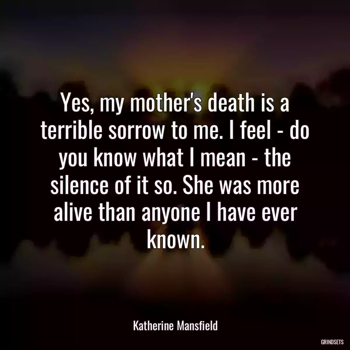 Yes, my mother\'s death is a terrible sorrow to me. I feel - do you know what I mean - the silence of it so. She was more alive than anyone I have ever known.