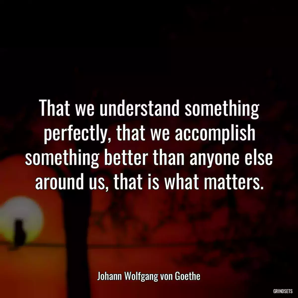 That we understand something perfectly, that we accomplish something better than anyone else around us, that is what matters.