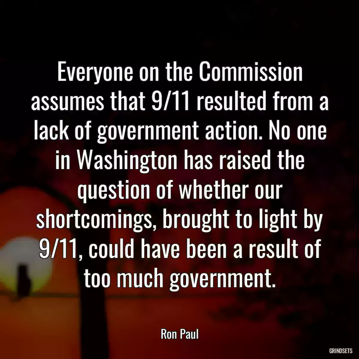 Everyone on the Commission assumes that 9/11 resulted from a lack of government action. No one in Washington has raised the question of whether our shortcomings, brought to light by 9/11, could have been a result of too much government.