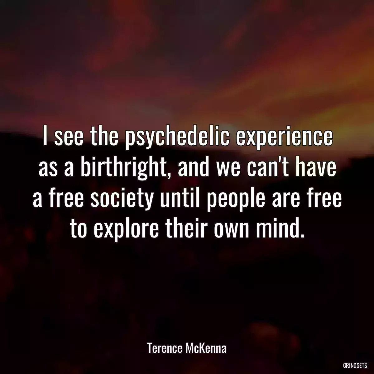 I see the psychedelic experience as a birthright, and we can\'t have a free society until people are free to explore their own mind.